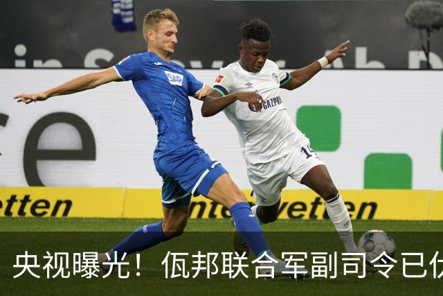 央视曝光！佤邦联合军副司令已伏法，蛇蝎美人白应兰还能躲多久？
